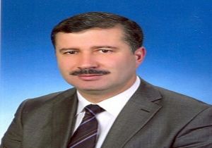 Gülçin TBA'ya seçildi